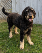 ./Gabriel_1__002__1777220270378